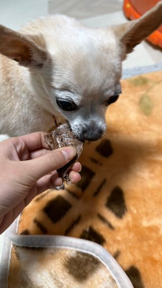 하이루님이 올린 리뷰 사진 1