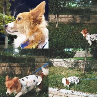 림림님이 올린 리뷰 사진 3