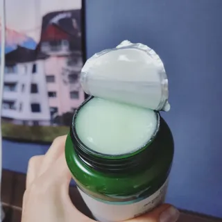 덤보님이 올린 리뷰 사진 3
