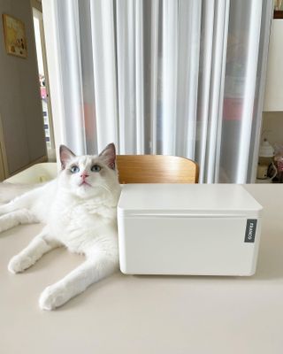 ccoyo님이 올린 리뷰 사진 3
