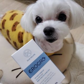 펫21 그로그로 5종 강아지 고양이 반려동물 한방 영양제 — 4점을 준 리뷰어가 2021년 12월 올린 사용 사진