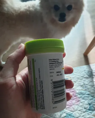 Swisse 스위스 고함량 밀크씨슬 35,000mg 60정 — 5점을 준 리뷰어가 2021년 11월 올린 사용 사진
