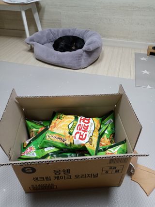 콩이누나님이 올린 리뷰 사진 1
