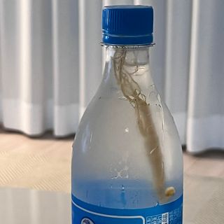 뽀히님이 올린 리뷰 사진 2