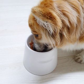 환희님이 올린 리뷰 사진 2