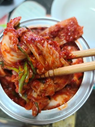 셰프애찬 알배기 겉절이 김치 1kg — 5점을 준 리뷰어가 2022년 9월 올린 사용 사진