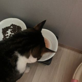 c1bzzvd5mkg님이 올린 리뷰 사진 4