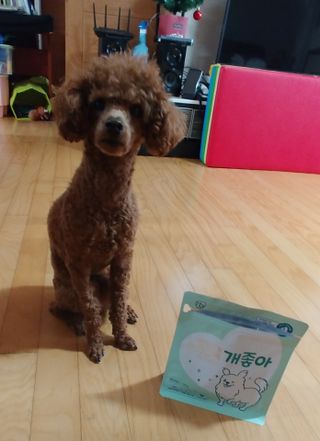 My Pet Care 천연단백질 눈건강에 개좋아 — 5점을 준 리뷰어가 2021년 3월 올린 사용 사진