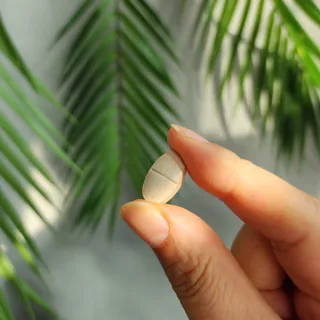 짱스마일 락토페린 프리미엄 정 1000ml x 60정 — 5점을 준 리뷰어가 2022년 12월 올린 사용 사진