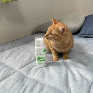 whol 키토클린 200ml - 항균항바이러스 강아지 눈 코 입 귀 세정탈취 고양이 턱드름제거 무향 워터리스 대용량 — 5점을 준 리뷰어가 2022년 10월 올린 사용 사진