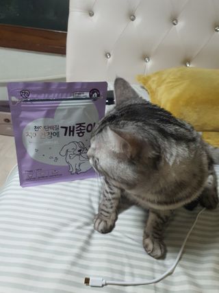 My Pet Care 천연단백질 치아건강에 개좋아 — 5점을 준 리뷰어가 2021년 2월 올린 사용 사진