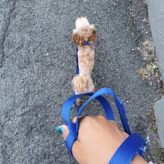 아코맘님이 올린 리뷰 사진 3