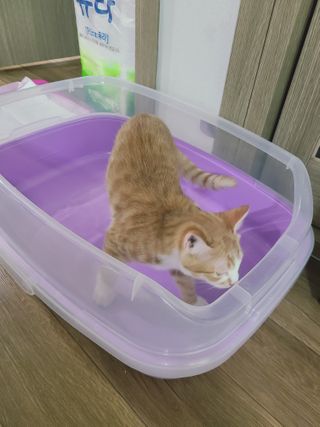 복덩이님이 올린 리뷰 사진 2