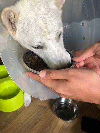janggunni님이 올린 리뷰 사진 3