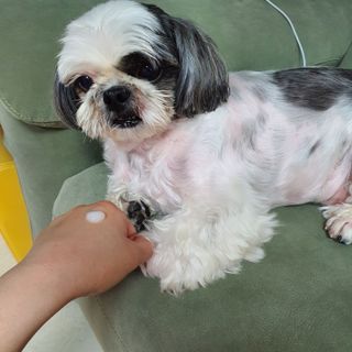 꽃단이님이 올린 리뷰 사진 4