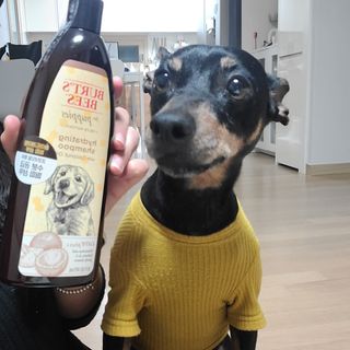 삐차님이 올린 리뷰 사진 1