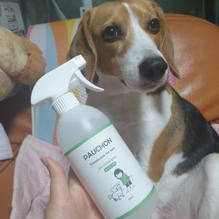 beaglelove님이 올린 리뷰 사진 3