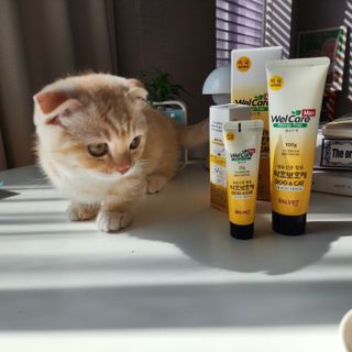 쭌뭉님이 올린 리뷰 사진 2