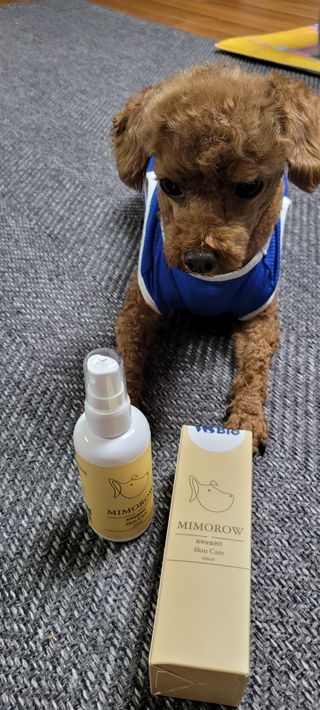 란다김님이 올린 리뷰 사진 4