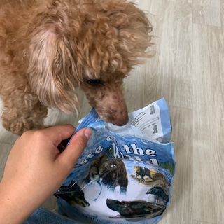 ZiunYang님이 올린 리뷰 사진 3