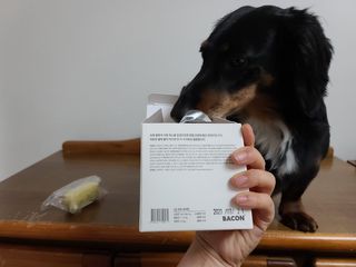 베이컨박스 [BACON] 강아지 수제간식 간편 동결건조 스튜 2종 - 황태, 초록 홍합 — 5점을 준 리뷰어가 2020년 12월 올린 사용 사진