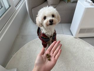 angelhyoni님이 올린 리뷰 사진 4