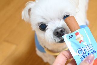 유리양님이 올린 리뷰 사진 3