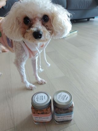 페페로니 진짜 오메가3 연어+소고기 180g+180g — 5점을 준 리뷰어가 2021년 7월 올린 사용 사진