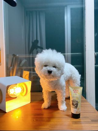 JENNY님이 올린 리뷰 사진 2