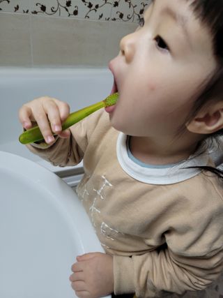 쭈니콩이맘님이 올린 리뷰 사진 1