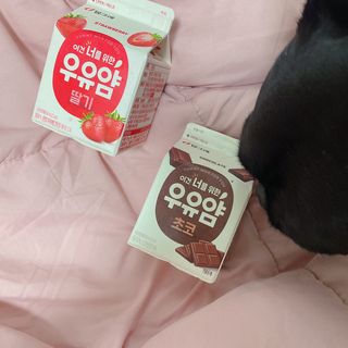콩비지맘님이 올린 리뷰 사진 2