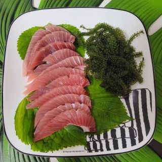 [피터씨마켓] 바다포도 100g(20g x 5봉) 우미부도 그린캐비어 ASMR 소분포장 — 5점을 준 리뷰어가 2024년 8월 올린 사용 사진