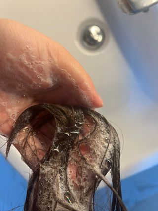 서녕이님이 올린 리뷰 사진 3