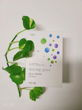 레오니님이 올린 리뷰 사진 1