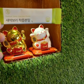 어제보다 나은 오늘님이 올린 리뷰 사진 2