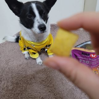 노이님이 올린 리뷰 사진 4