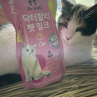 피츄카님이 올린 리뷰 사진 2
