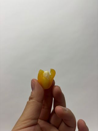 군언김님이 올린 리뷰 사진 1