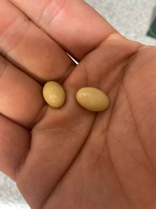 뱅지님이 올린 리뷰 사진 3
