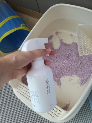 마녀철수님이 올린 리뷰 사진 2