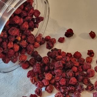 saiio님이 올린 리뷰 사진 2