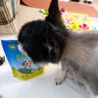 복도리님이 올린 리뷰 사진 2