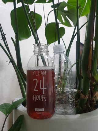 클린24시간 1BOX(5포) + 전용보틀(500ml) — 5점을 준 리뷰어가 2022년 12월 올린 사용 사진