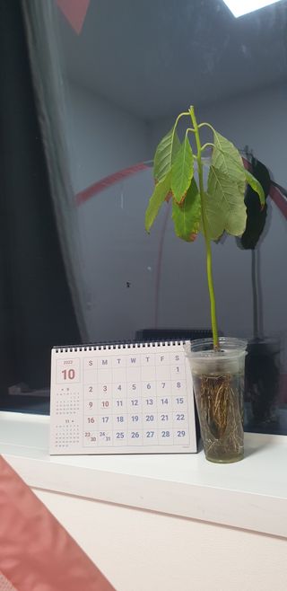 꾸왑님이 올린 리뷰 사진 1
