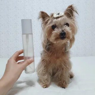 솜희님이 올린 리뷰 사진 1