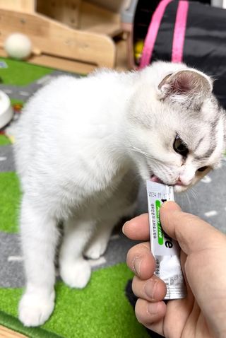 kiralee님이 올린 리뷰 사진 1