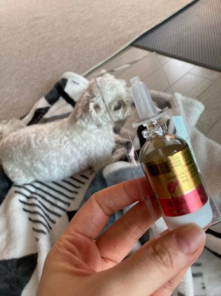 무지조타 반려동물용 꽃으로만든영양제 헬리코디펜스 15ml — 5점을 준 리뷰어가 2021년 8월 올린 사용 사진