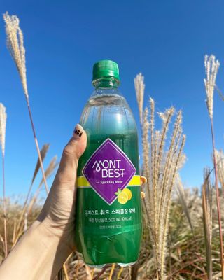몽베스트 Montbest with Sparkling water Lemon OR Lime 20병(랜덤) — 4점을 준 리뷰어가 2022년 10월 올린 사용 사진