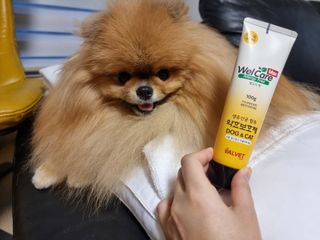 아롱이님이 올린 리뷰 사진 1