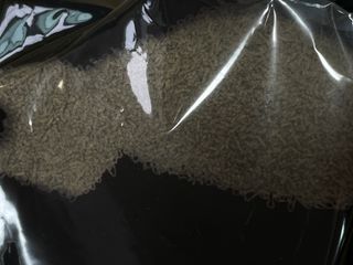 진시님이 올린 리뷰 사진 4